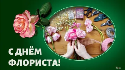 Поздравления от популярных флористов ко Дню флориста — Планета Флористики