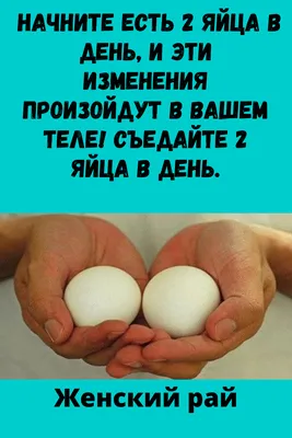 Всемирный день яйца: что из него готовят в разных странах - РИА Новости,  