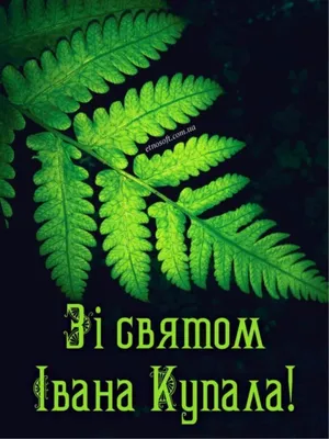 Ивана Купала 2018: лучшие поздравления в стихах и открытках - ЗНАЙ ЮА