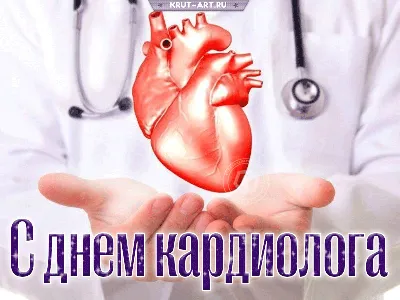 Всемирный день врача кардиолога - Новости - MEDLIGA