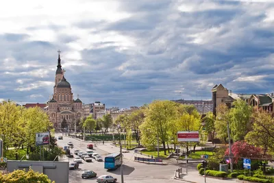 Поздравляем с Днем города Харькова и Днем Государственного Флага! - Новости  спорта в Харькове