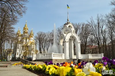 День города Харьков 2022 – Дантес поделился воспоминаниями о родном городе