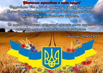 Феєрія мандрів: 365 лет Харькову. День города.