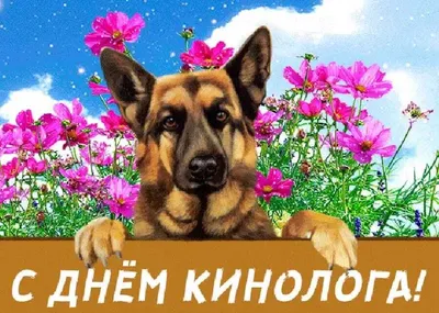 Поздравляем с днем кинолога!