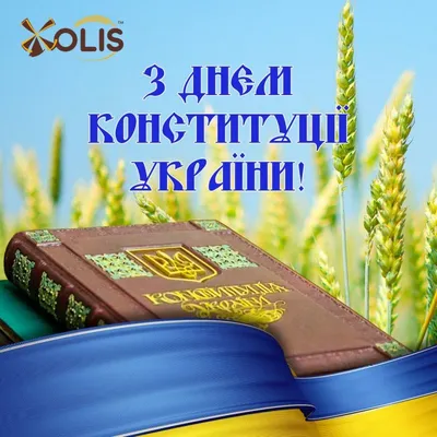 День Конституции Украины 2022 поздравления — пожелания мира и добра,  открытки и картинки на 28 июня - Телеграф