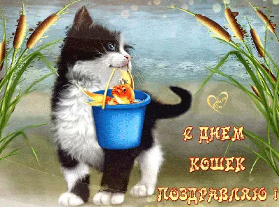 С Днем кошек ⋆ Открытки анимация