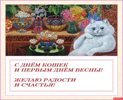 С днем кошек! / фото