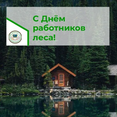 С Днём работника леса!!! — КГБПОУ "Бийский техникум лесного хозяйства"