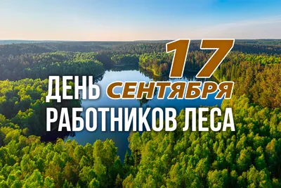 Кружка Cupsberi "Принт День лесника, день работника леса, лес, шишки", 330  мл - купить по доступным ценам в интернет-магазине OZON (1161167115)