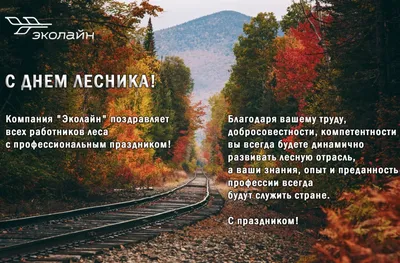 Поздравление с Днем работников леса — Государственное предприятие  "Беларусьторг"