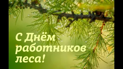 День работника леса 2020: поздравления, смс, стихи, картинки в День лесника