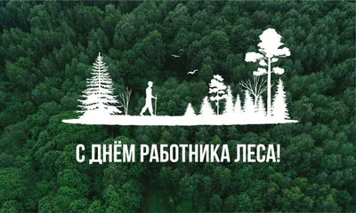 С Днем работников леса! | ЗДОРОВЫЙ ЛЕС