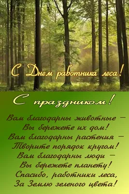 С днем работников леса! - Дрогичинское районное объединение профсоюзов