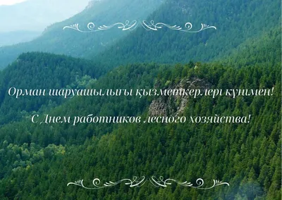 Министр экологии, геологии и природных ресурсов Казахстана Магзум  Мирзагалиев поздравил работников лесного хозяйства страны с  профессиональным праздником