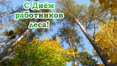 ОАО Лесплитинвест - новости и события.