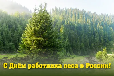 Ерлан Нысанбаев поздравил граждан с Днем работников лесного хозяйства -  