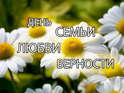 День семьи любви и верности. Музыкальное поздравление с Днем семьи. -  YouTube