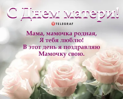 Томск | Поздравление депутата Государственной Думы Татьяны Соломатиной с  Днем матери - БезФормата