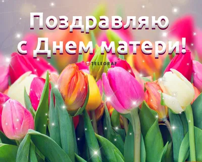 Открытки с Днем матери - скачайте бесплатно на 