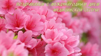 Новые открытки и картинки с Днем Медсестры 