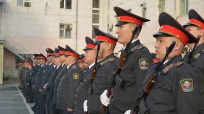 Поздравление с Днем Полиции! Весёлое Поздравление! День Полиции 2021/ С  Днем Милиции! 10 ноября - YouTube