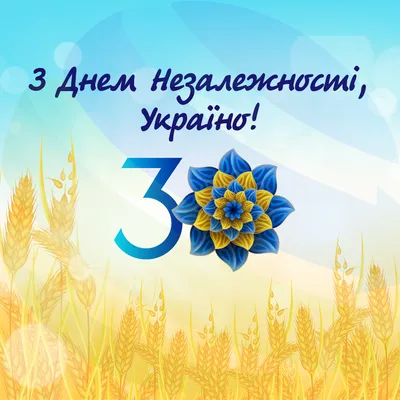 Привітання міського голови Сергія Сухомлина з Днем Незалежності України |  Житомирська Міська Рада