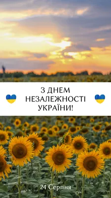 Поздравляем с Днем Независимости Украины. • B-tex
