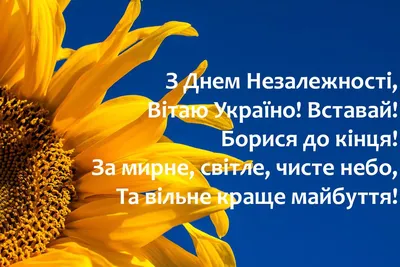 С Днем Независимости Украины 2021! Лучшие поздравления, открытки и видео |  