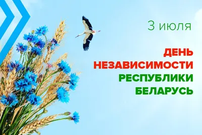 День независимости Казахстана — главный национальный праздник Республики  Казахстан — Новости Шымкента