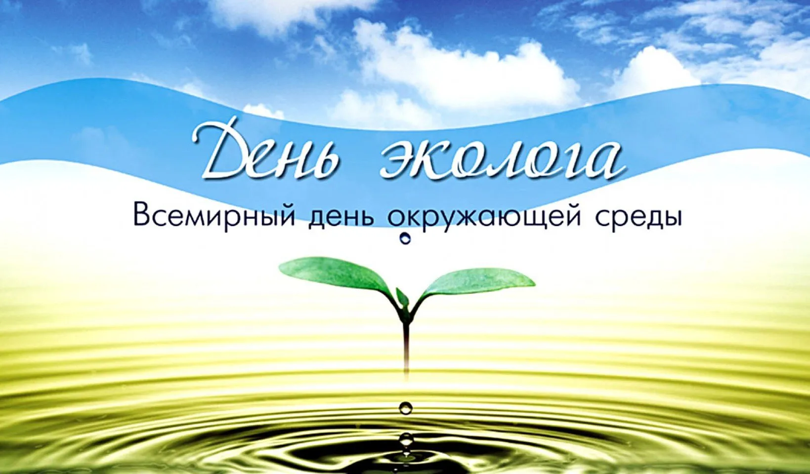 Всемирный день окружающей среды. День эколога. Всемирный день охраны окружающей среды. С днем окружающей среды поздравление.