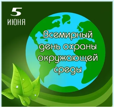 Всемирный день охраны окружающей среды 2023, Мелеузовский район — дата и  место проведения, программа мероприятия.