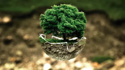 Поздравляем со Всемирным Днём охраны окружающей среды! -  Регион-Центр-Экология