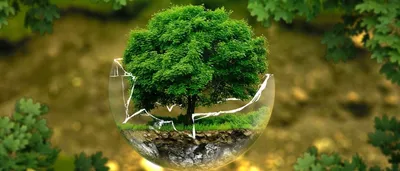 Поздравляем всех с Днем охраны окружающей среды | МОО «Природоохранный союз»