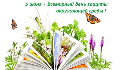 А вы знали , что сегодня Всемирный день охраны окружающей среды?. Это  праздник, который призван донести важность сохранения природы до каждого  человека, живущего на планете?. Окружающая среда создала человека, в то же