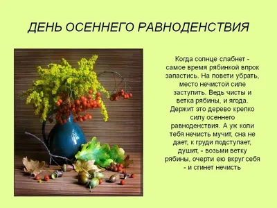 День и ночь сравнялись: сегодня День осеннего равноденствия » «Муравленко  24»