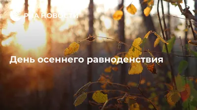 День осеннего равноденствия 2023: что это, какого числа будет, история,  традиции и приметы: Общество: Россия: 
