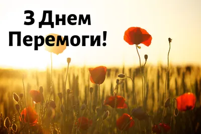 З Днем Перемоги! #деньперемоги #картинки #листівки | Art shop, Greetings,  Google images