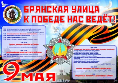 Победа над «победой». Почему День победы нужно отмечать 8 мая