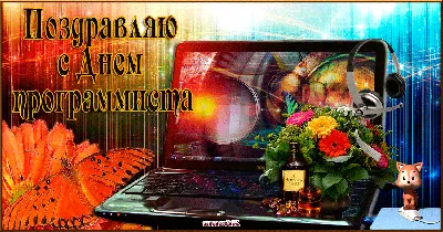 13 сентября в России отмечается День программиста. :: 