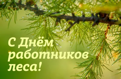 Поздравление с Днем работников леса — Государственное предприятие  "Беларусьторг"