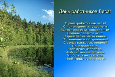 С Днём работников леса и лесоперерабатывающей промышленности! — Библиотека  БГТУ