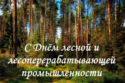 С днем работников леса и лесоперерабатывающей промышленности!