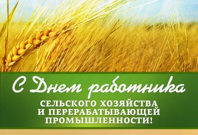 С Днем работника сельского хозяйства и перерабатывающей промышленности -  Новости, объявления - Агропромышленный комплекс - Экономика и бюджет -  Артемовский городской округ