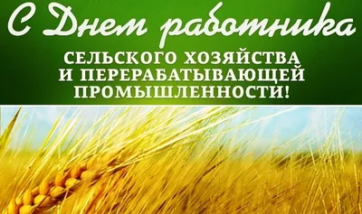 Поздравляем с Днём работника сельского хозяйства и перерабатывающей  промышленности! — Новости — ЗАО «Завод Премиксов №1»