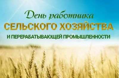 День работника сельского хозяйства и перерабатывающей промышленности:  Почему это важно для нас всех - Усть-Донецкий район