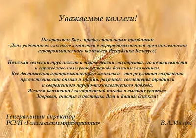 С Днем работников сельского хозяйства и перерабатывающей промышленности |  ОАО «Щучинский завод «Автопровод»