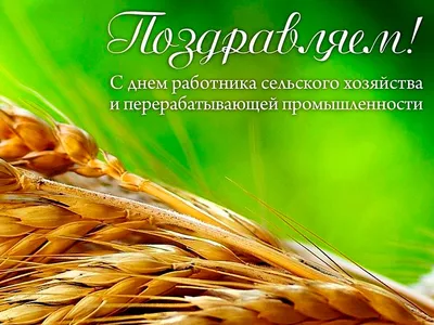 С ПРАЗДНИКОМ! С Днём работников сельского хозяйства и перерабатывающей  промышленности! - Молочный гостинец