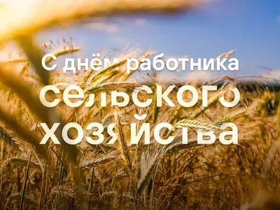 Всех работников сельского хозяйства и перерабатывающей промышленности  поздравляем с профессиональным днем . ~ Открытка (плейкаст)