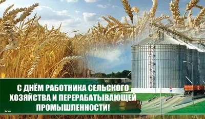 ПОЗДРАВЛЕНИЕ АКИМА РАЙОНА ГАЙДАРА КАСЕНОВА С ДНЕМ РАБОТНИКОВ СЕЛЬСКОГО  ХОЗЯЙСТВА