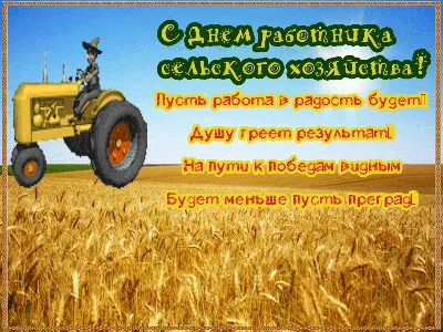 Поздравляем с Днем работников сельского хозяйства и перерабатывающей  промышленности! – РУП "Опытная научная станция по сахарной свекле"